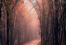 爱游戏-山东队横扫骑士，乔治关键制胜