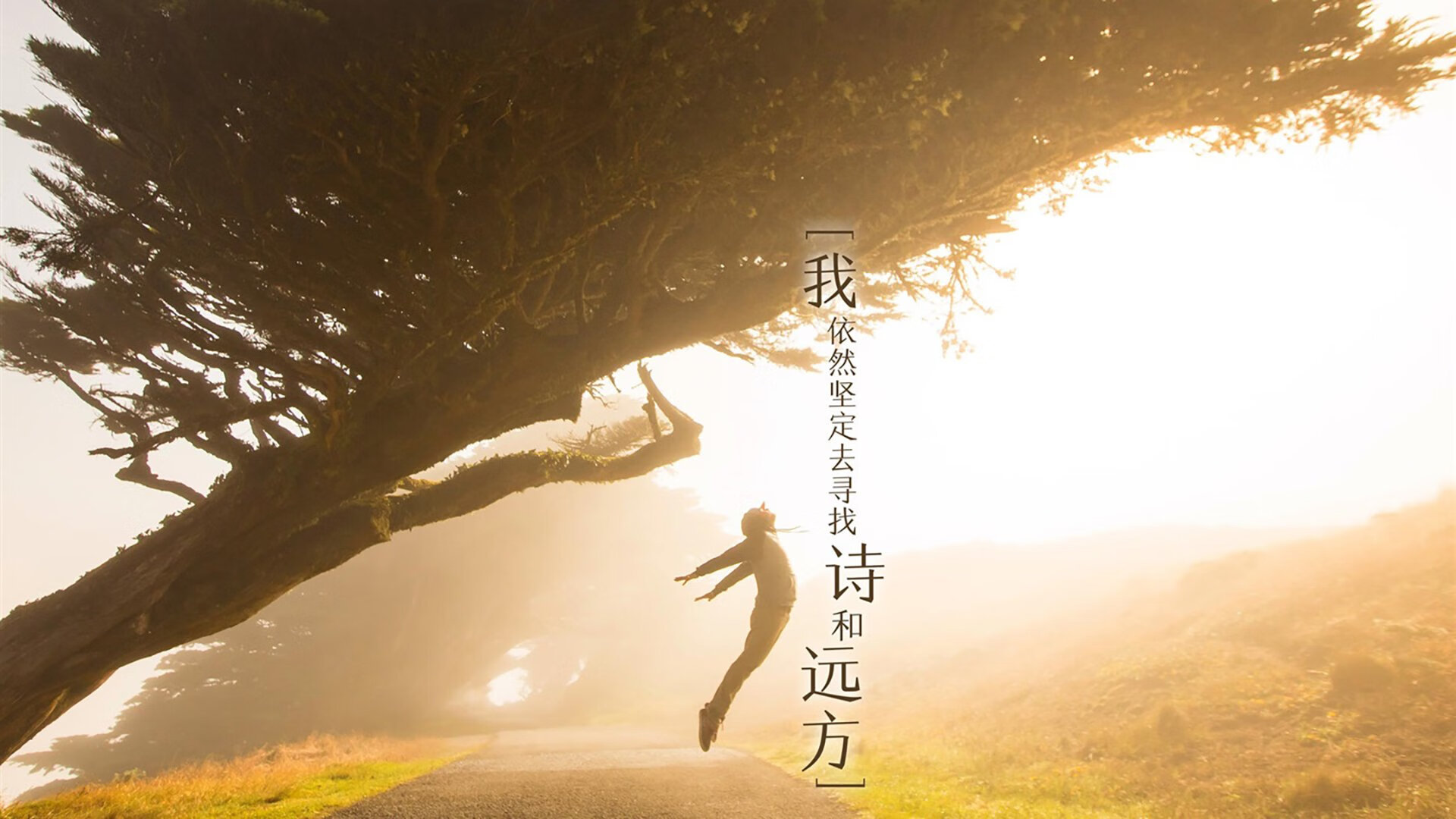 爱游戏tv-南粤之鹰遇上冠军之心，范弗利特在东方球馆的加冕之夜