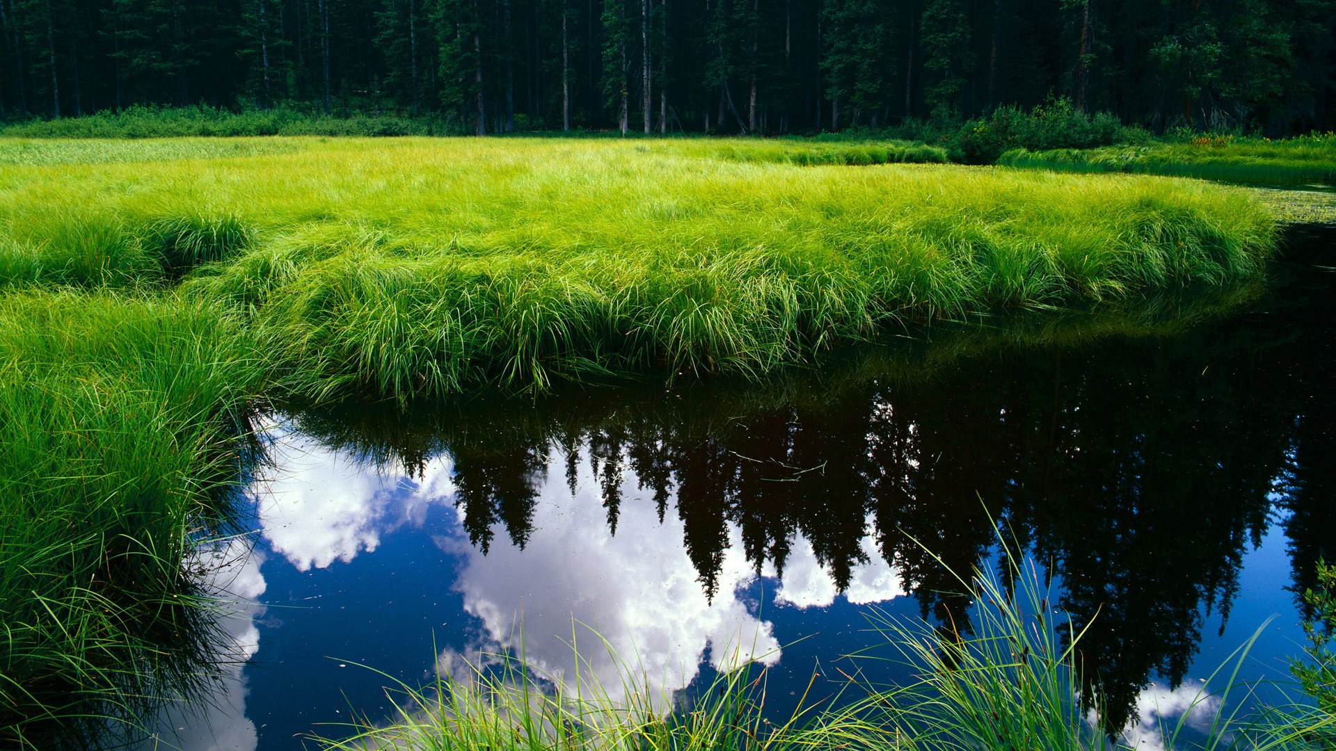 爱游戏在线-隐形锁链，贝恩如何用无声的防守为勇士戴上荆棘王冠