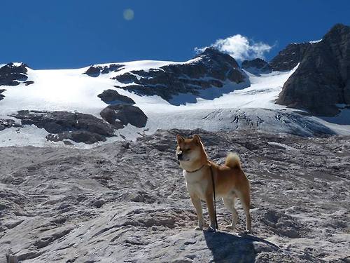 跨越半个地球的续命战，当多特蒙德遭遇南半球的足球魔法