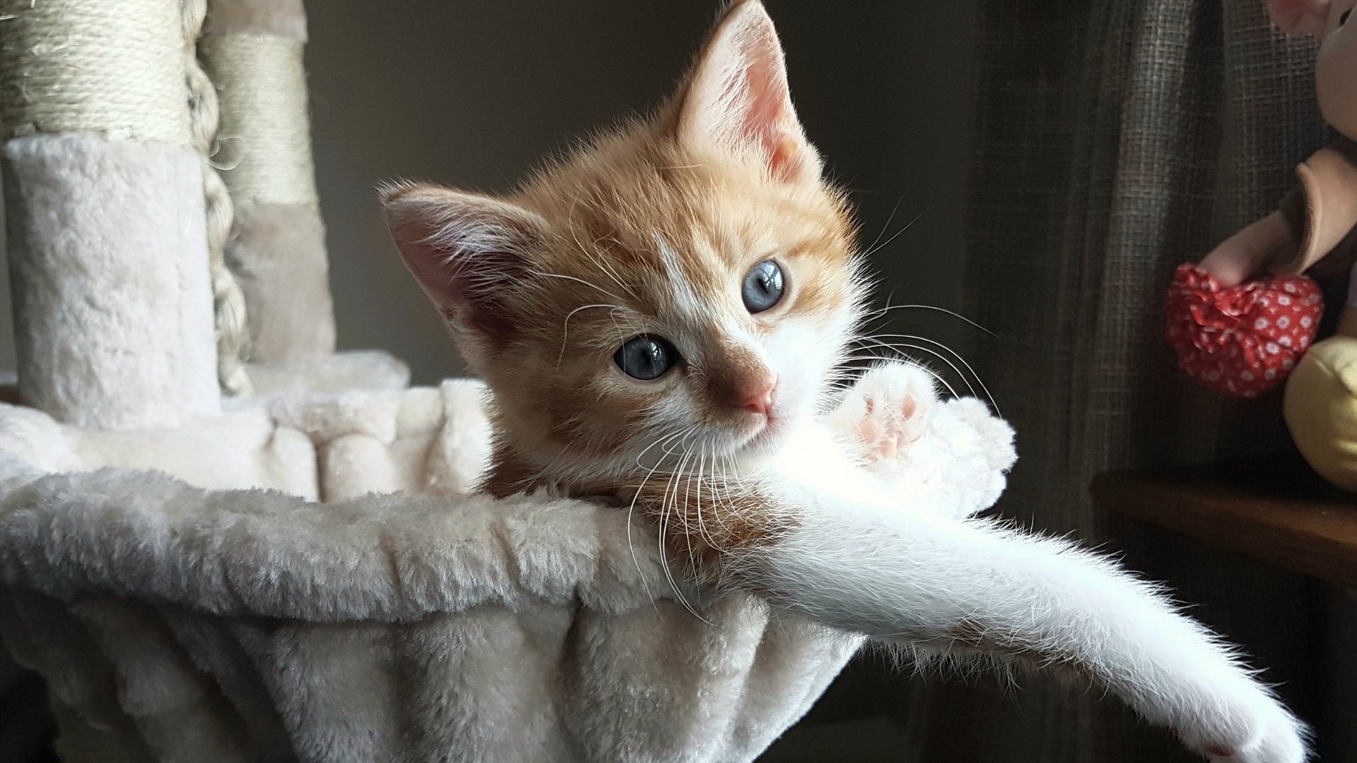 爱游戏大厅-恩比德节奏掌控与广东队防守锁死，篮球战术的唯二艺术融合