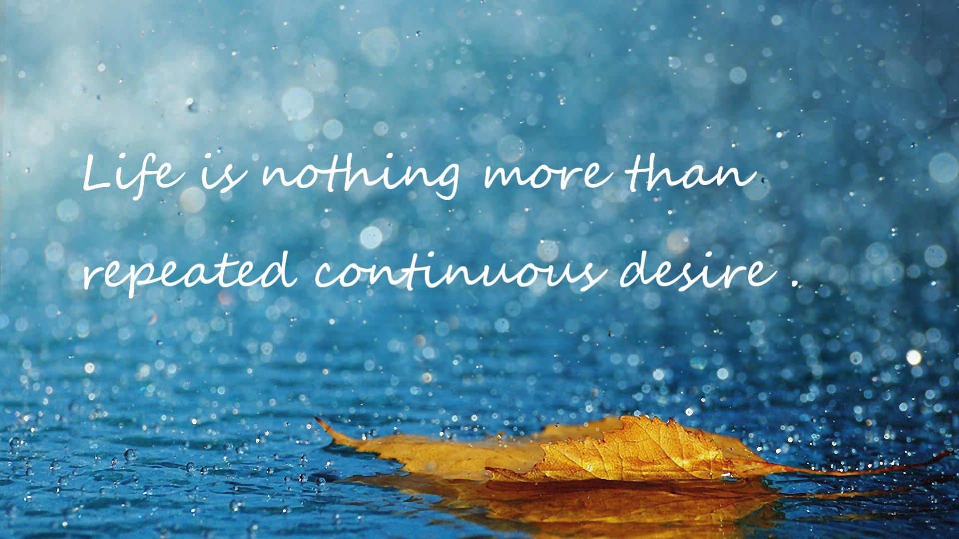 当沪浙战场的杜兰特开始收割比赛