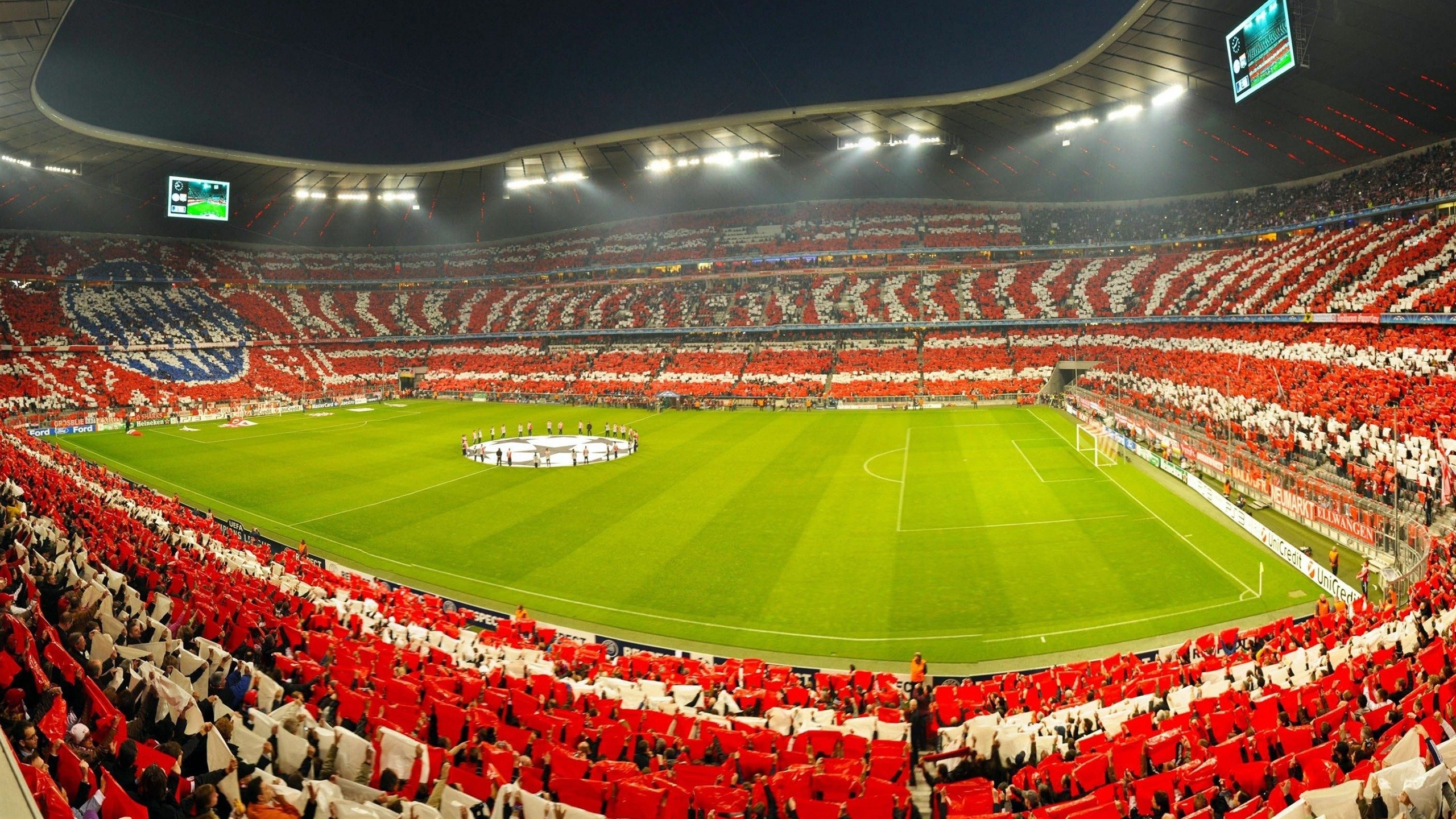 选项（供您选择）