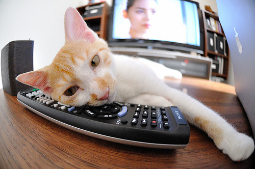 爱游戏在线-切特独舞，爵士逆袭，个人能力铸就爆冷经典，勇士王朝遇阻？