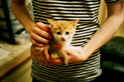 双线战场，卡瓦哈尔的沉稳与拉齐奥的生死逆袭