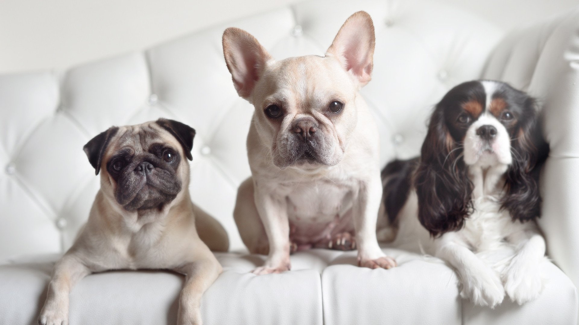 爱游戏官网-凌晨四点半的圣保罗