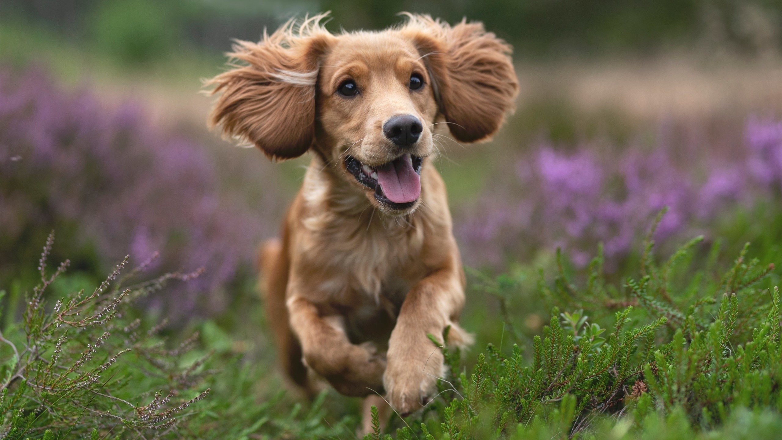 爱游戏官网-爱德华兹末节狂飙定乾坤，灰熊跨联盟激战险胜新疆队