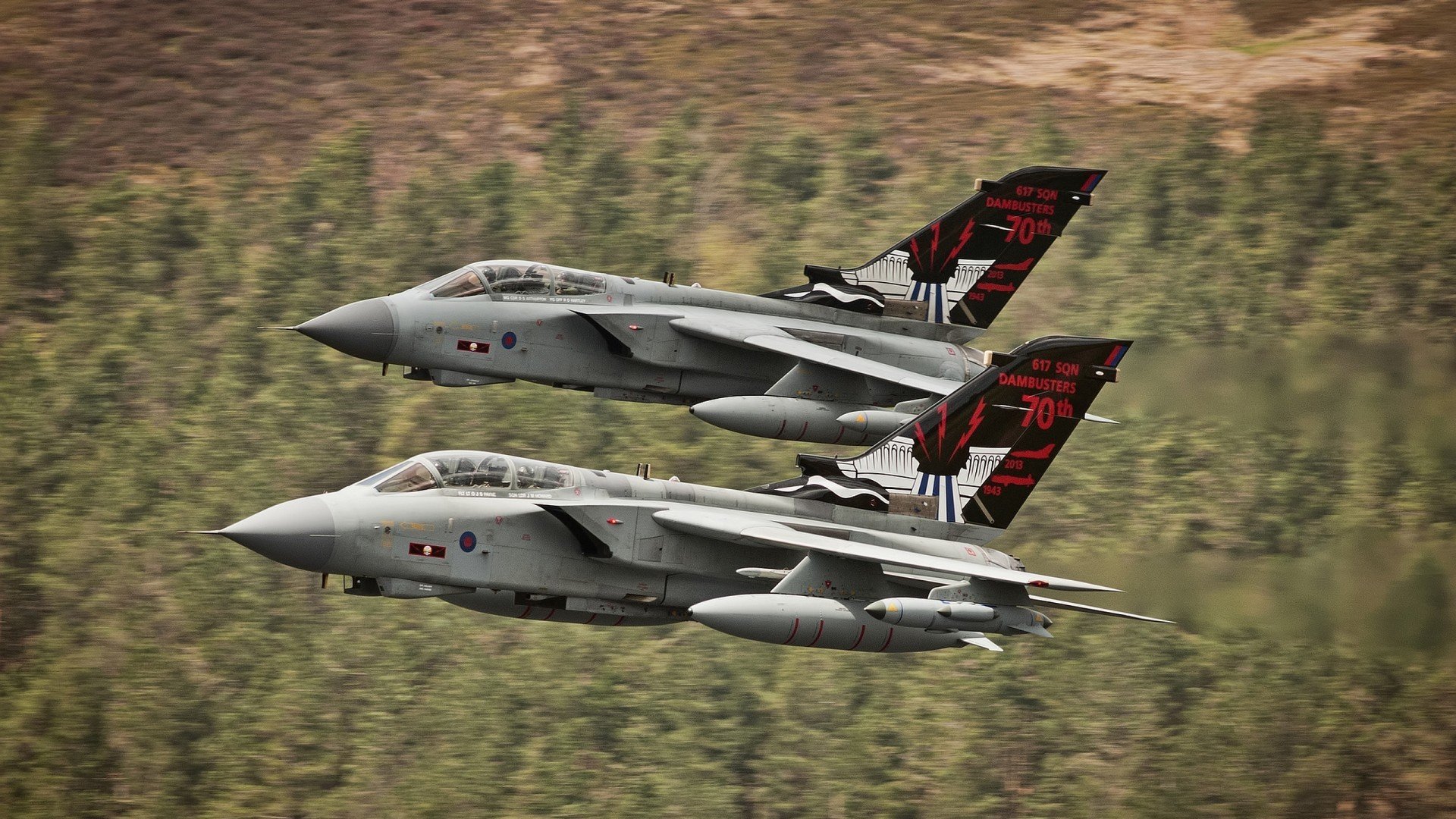 意甲焦点战之夜，唯一没看进球的球迷，却成了全场焦点