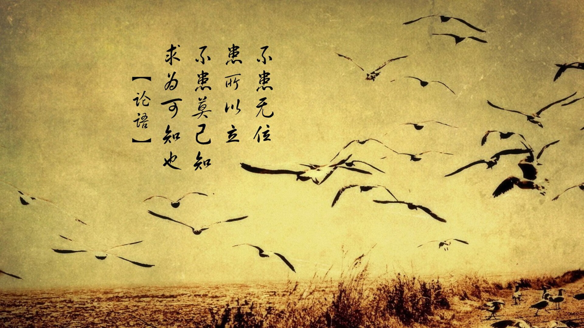 绿茵场上的决定性瞬间，从克罗地亚的集体韧性到德布劳内的个人伟力