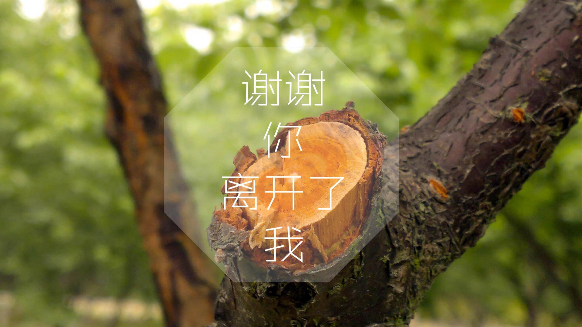 一夫当关，库尔图瓦如何用指尖重塑2026世界杯H组宿命对决