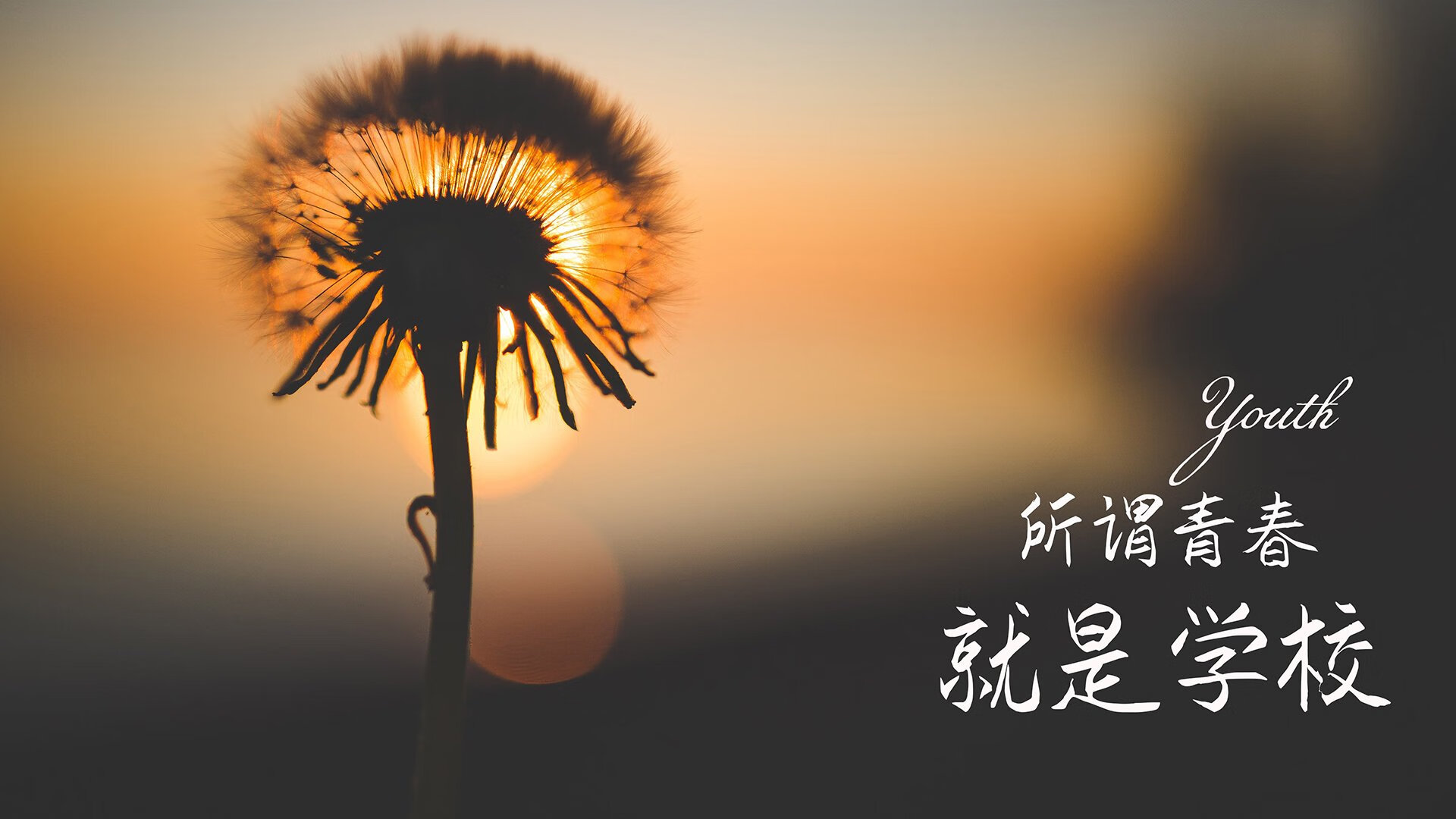 闪电战撕碎非洲雄狮，吉鲁两传一射，日本风暴席卷2026世界杯C组焦点战